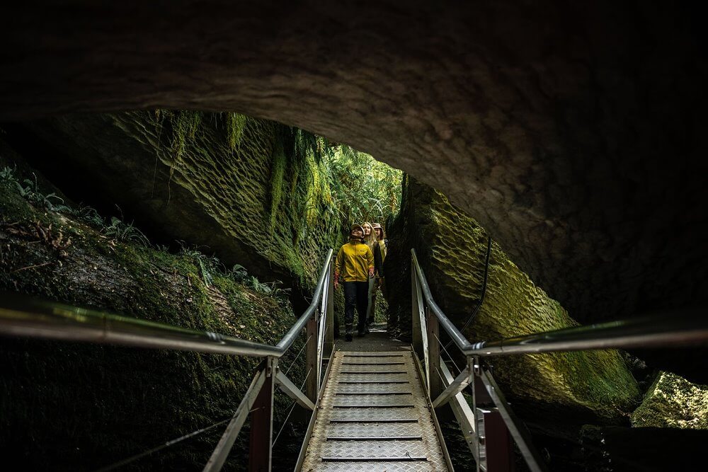 Te Anau Glowworm Caves,蒂阿瑙螢火蟲洞,紐西蘭螢火蟲洞,紐西蘭洞穴探險,蒂阿瑙景點,Te Anau景點推薦,紐西蘭南島景點,紐西蘭自然景點,紐西蘭親子景點,紐西蘭自由行推薦,南島自由行行程,Te Anau自由行,蒂阿瑙行程安排,紐西蘭必訪景點,RealNZ螢火蟲洞,蒂阿瑙船票,螢火蟲洞預約,紐西蘭夜間活動,紐西蘭旅遊推薦,紐西蘭浪漫行程